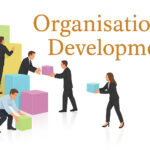 Organisational Development Services