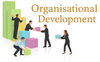 Organisational Development Services